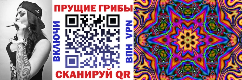 Купить закладки  Зея  Псилоцибиновые грибы Psilocybine cubensis 